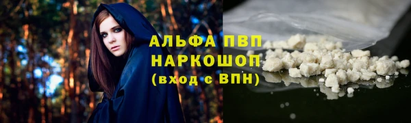 винт Алексин
