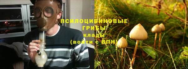 молекула духа Алексеевка